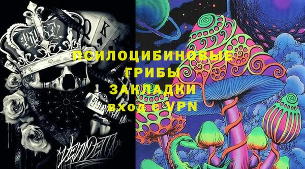 шишки Алексеевка