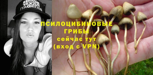 шишки Алексеевка