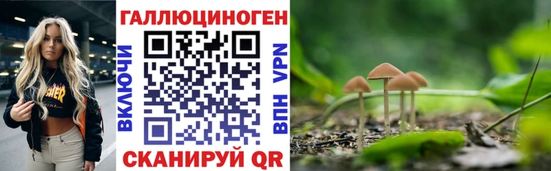 Псилоцибиновые грибы прущие грибы  Саянск 
